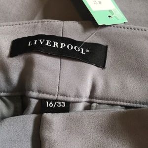 liverpool maille bootcut pant